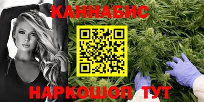 винт Донецк