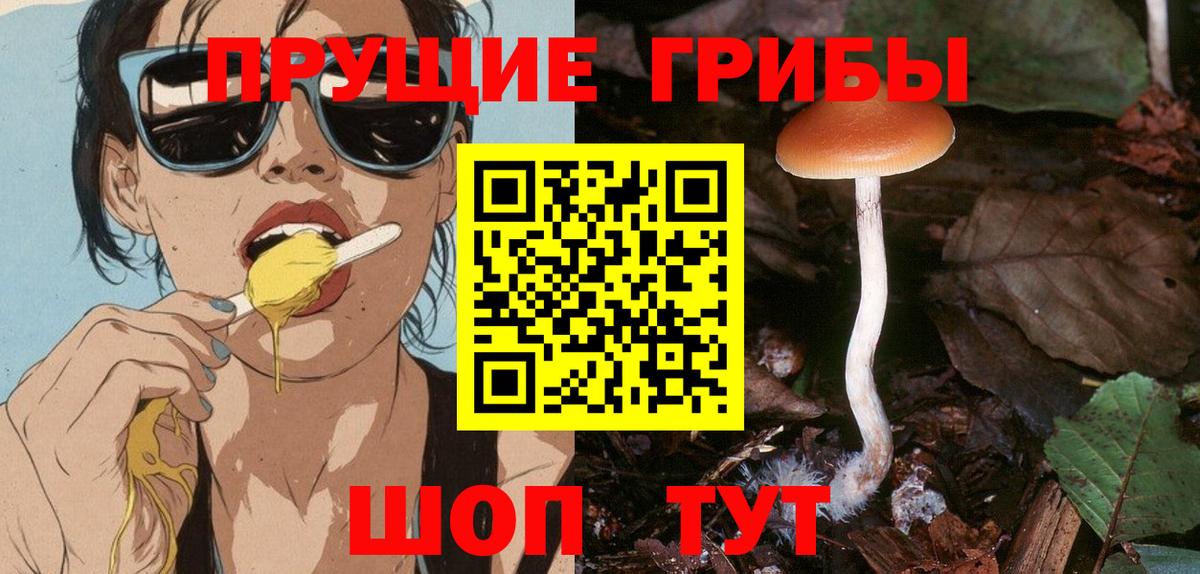 Галлюциногенные грибы MAGIC MUSHROOMS Можайск